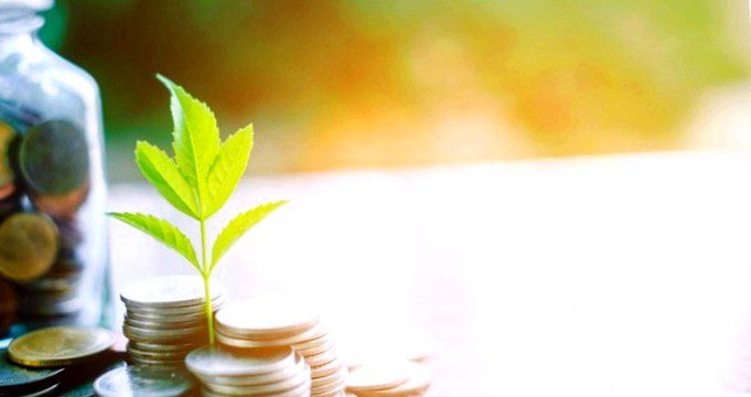 Ethical bank - How sustainably do you invest your money??