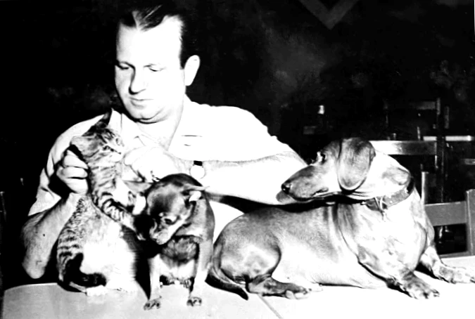 Why Russian usury is protected from criminal sanctions?