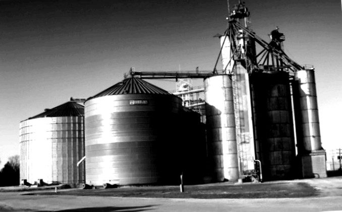 Resisting data silos: from data sharing to platforms