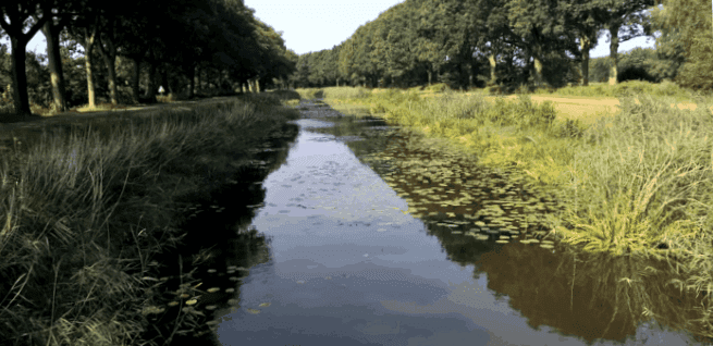 Living in the Euregio Netherlands / Lower Saxony